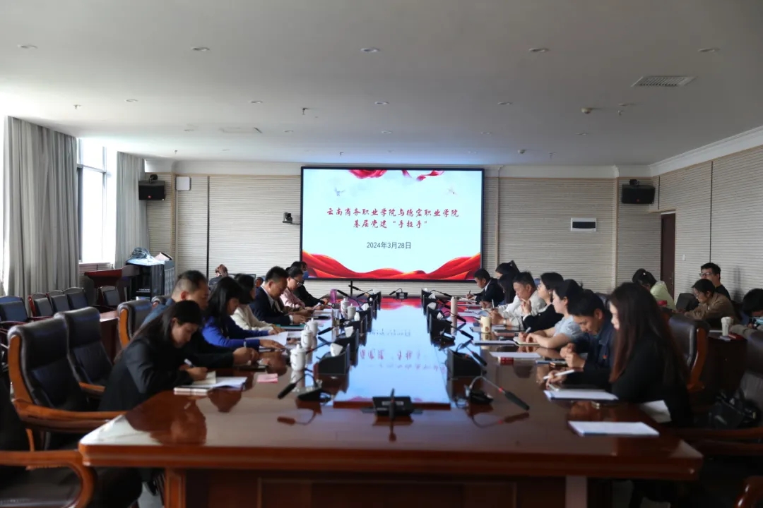 SUNBET申搏与德宏职业学院“党建手拉手”系列活动